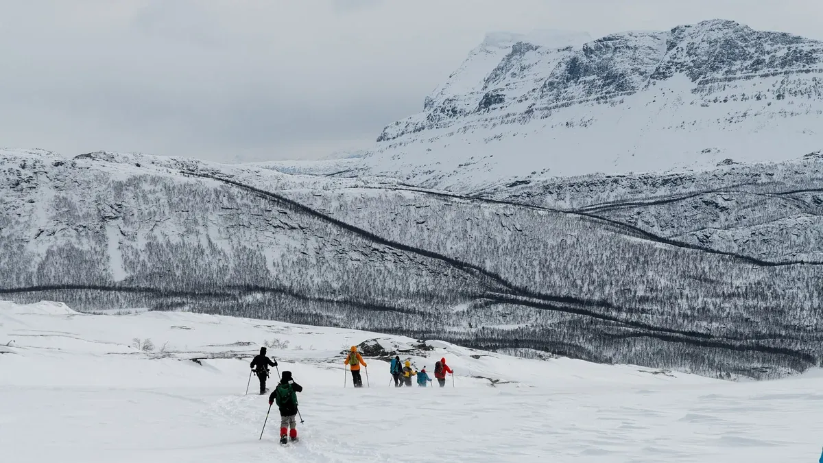 Snowshoe walkers crossing open snow in Troms, Norway, as on a reindeer feeding and snowshoe tour from Tromsø
